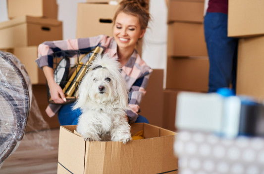 Las 5 Mejores Formas de Empacar Tus Objetos Personales con Cajas de Cartón para una Mudanza Eficiente